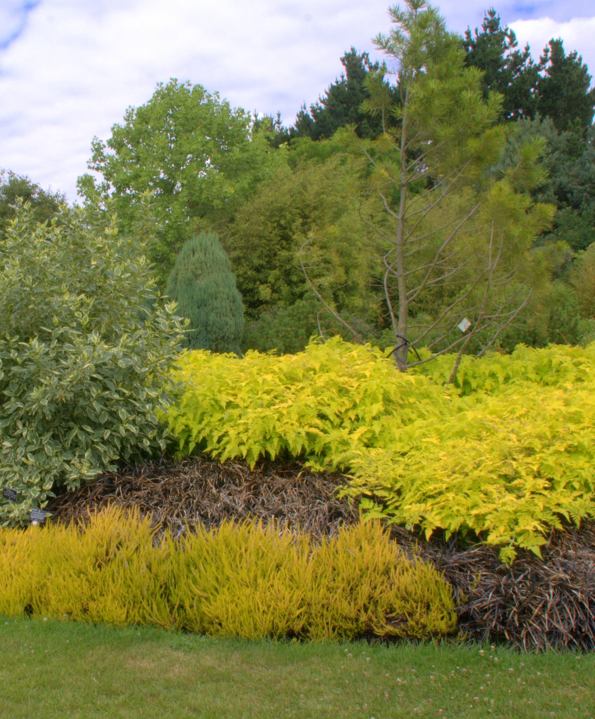 Sir Harold Hillier Garden, Romsey