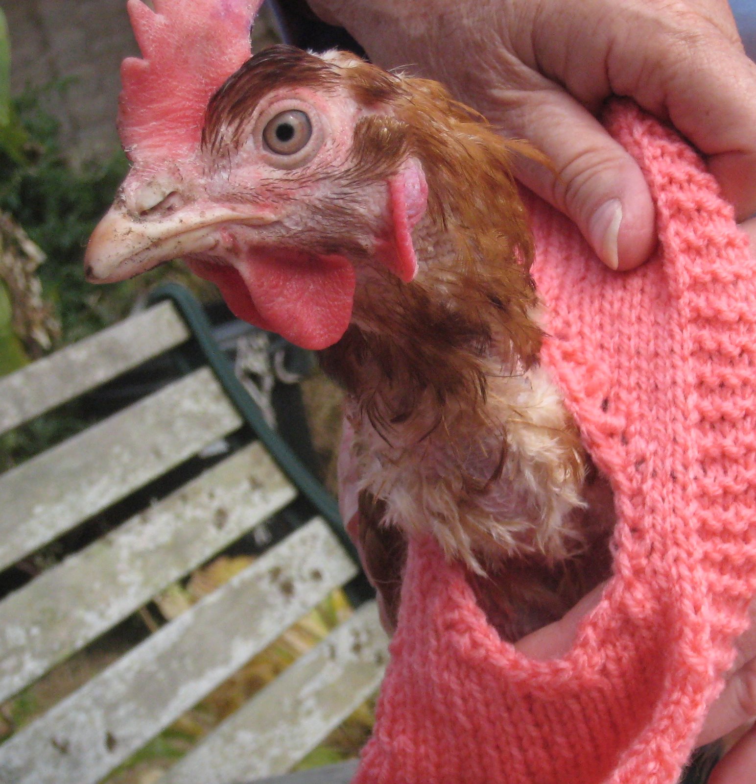 Patience having her pink jersey fitted