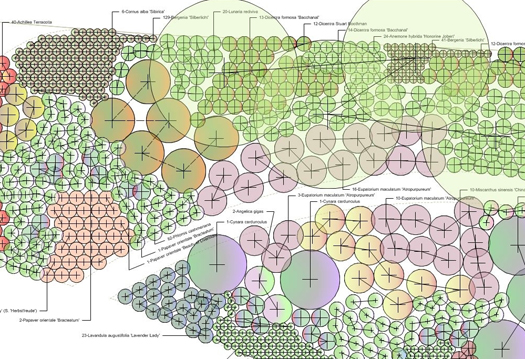 detailed planting plan – species and quantities 