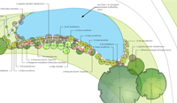 Landscape planting plan with pond for ecological enhancement